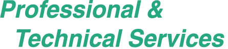 Professional &
  Technical Services
